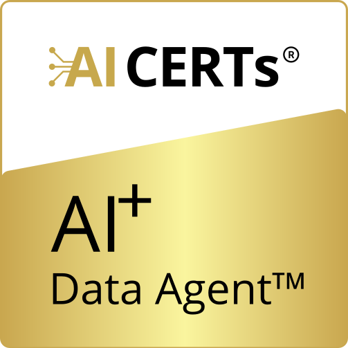 AI+ Data Agent™